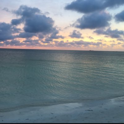 This is a real social project from OSS. The buddy system is a safe space for all to chat and vent. We will listen seriously and give next step advise.