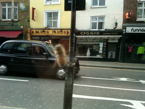 Beingeveryday's profile picture. 