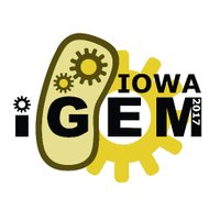 Iowa iGEM (@iowaigem) 's Twitter Profile