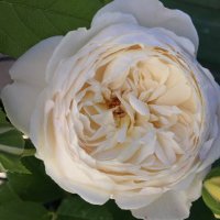 Claire Austin (@claireaustin4) 's Twitter Profile Photo Claire Austin (@claireaustin4) 's Twitter Profile Photo