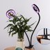 Grow Lights (@growlightsshop) Twitter profile photo Grow Lights (@growlightsshop) Twitter profile photo