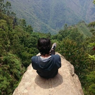 pulladen's profile picture. 