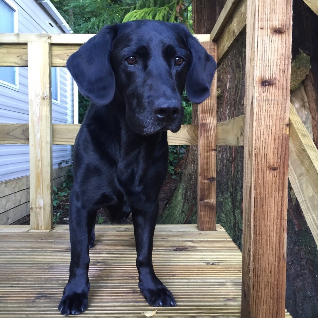 DarylBerriman's profile picture. 