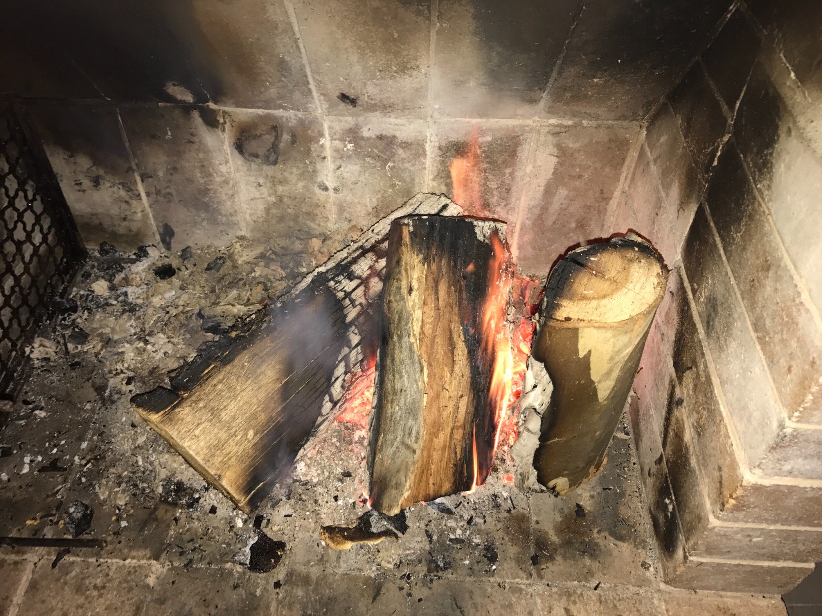 UberCamposs's profile picture. 