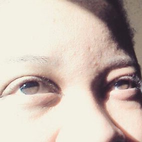 celeste821's profile picture. just tweeting about what interests me