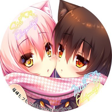 こあ@福猫組さんのプロフィール画像