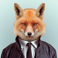 J P M (@jpmarc2009) 's Twitter Profile