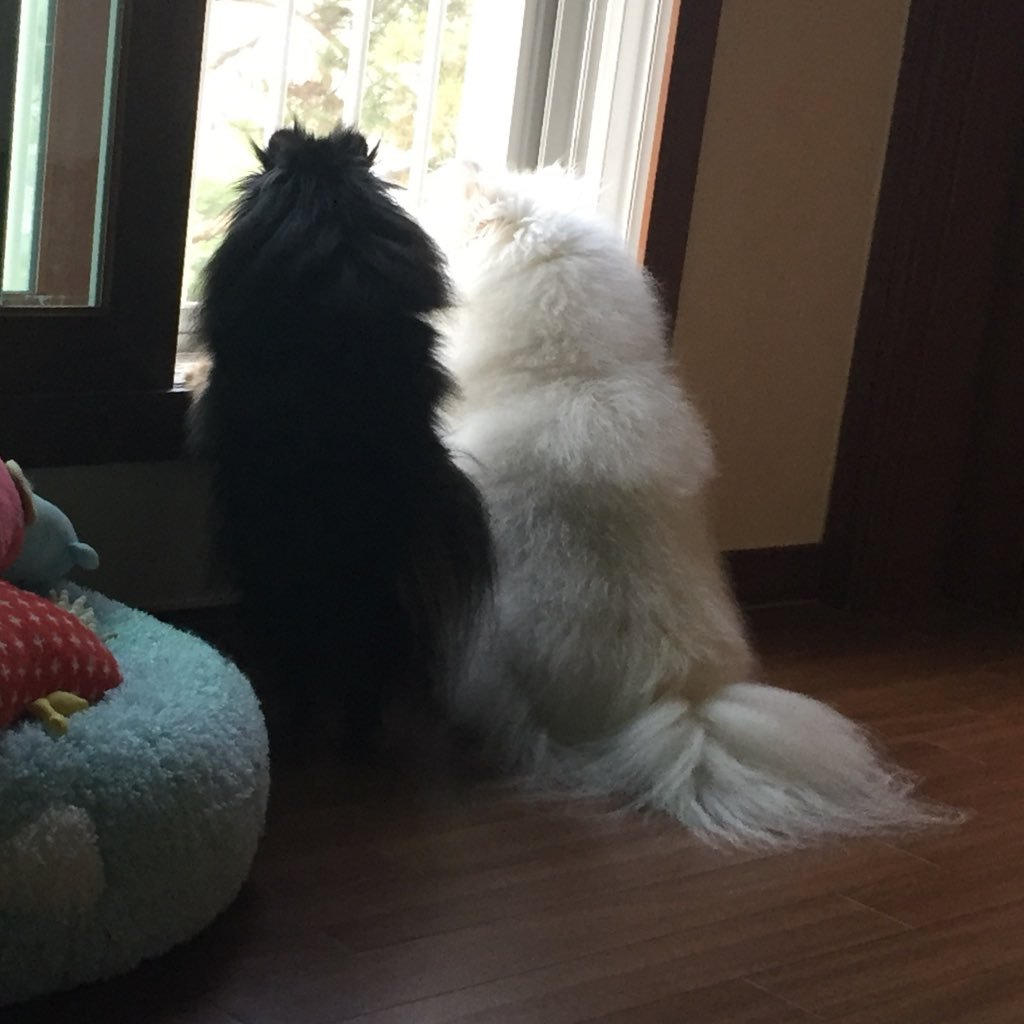 DS_Yoon's profile picture. - 대한민국의 완전한 독립을 꿈꾸며...