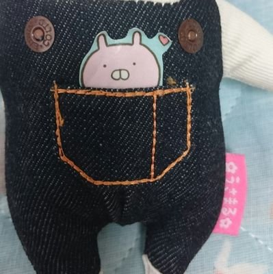 23kanbay's profile picture. ライブ行きたい♪／富山、新潟、石川福井ならライブ見にいきます♪／うさまる養いたい、でも、うさこらーです(´∞｀)