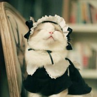 ロー (@ui7vdv) 's Twitter Profile
