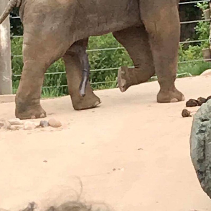 TheRealNoGood's profile picture. Yep, This shit