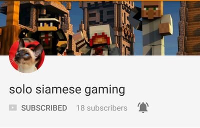 SoloSiamese's profile picture. Hey. We are a great channel on YouTube  family friendly with great content a lot of gaming videos make sure to subscribe at 

solo siamese gaming on YouTube