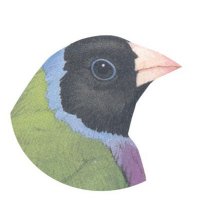 Gracia & Louise (@gracialouise) 's Twitter Profile Photo Gracia & Louise (@gracialouise) 's Twitter Profile Photo