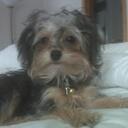 Debra Smith - @Pyper130 - Twitter