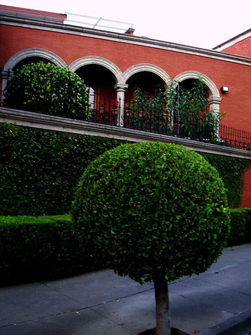 PREDIOS's profile picture. http://t.co/01m7MOQpNH ES UN SITIO DEDICADO A LAS BIENES RAICES EN MEXICO, INCLUYENDO RIVIERA MAYA Y DISTRITO FEDERAL