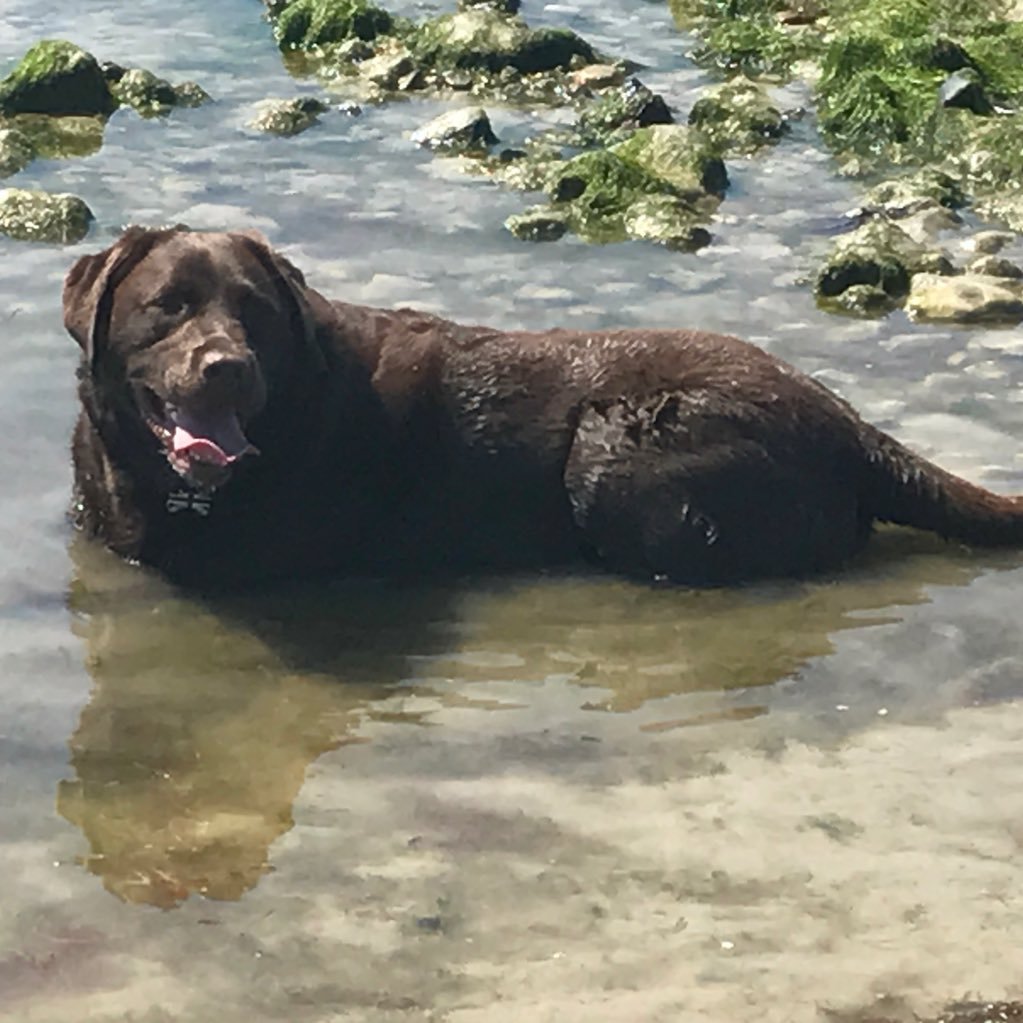 nicola_house8's profile picture. 