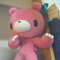 くーこ Profile