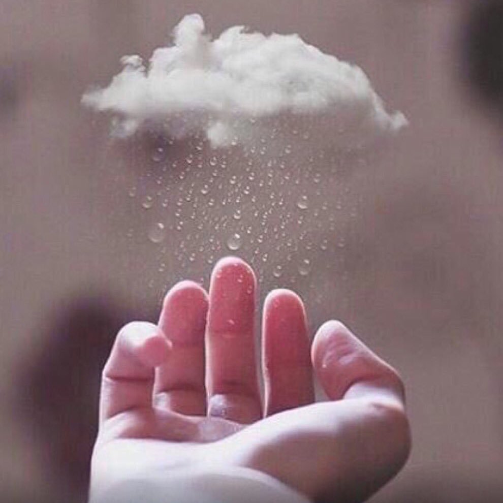 Toolen8805's profile picture. 