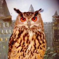 Sally Jane Isfree (@isfreejane) 's Twitter Profile