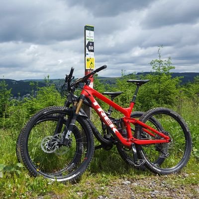 GoldornLP's profile picture. 