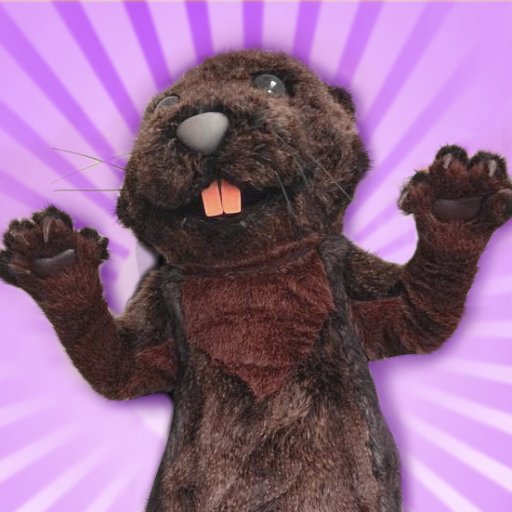 HastieP's profile picture. Still here.