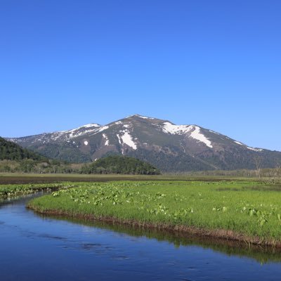 flavusさんのプロフィール画像