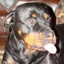 Shane Ingram - @voningram - Twitter