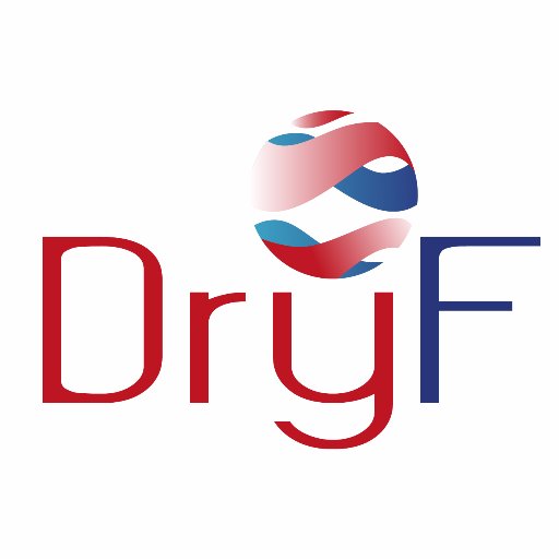 dryficiency Profile Picture