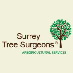 Surrey Tree Surgeons are a team of highly skilled tree surgeons offering superior arboricultural services across Surrey, Hampshire & surrounding areas.
