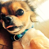 ヒロ (@a_bcc) Twitter profile photo