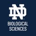 Notre Dame Biology (@ndbios) Twitter profile photo Notre Dame Biology (@ndbios) Twitter profile photo