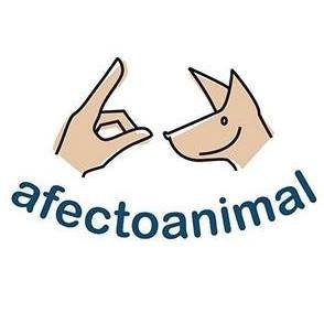 AfectoAnimal's profile picture. EXPERTOS en Modificación de conducta💘🐶
❌#NoCompresAdopta
➡️ #DefensaAnimal