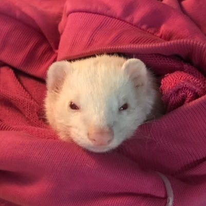 Yrbaoma's profile picture. 