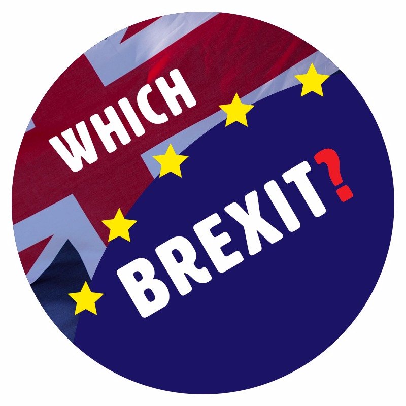 Unsure WHICH brexit we need? Confused by rhetoric? Don't know what narrative you SHOULD be hearing? We got you.  Updated every 30 minutes. Artwork by @chainbear