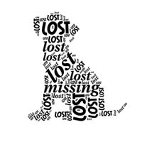 Lost & Found Pets in KSA (@lostnfound_sa) 's Twitter Profile Photo