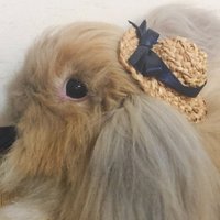兎 (@usaginorara1) 's Twitter Profile Photo