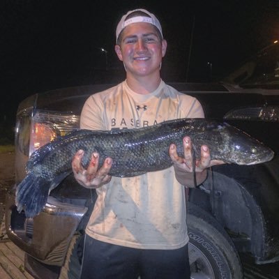 Cseely25's profile picture. 