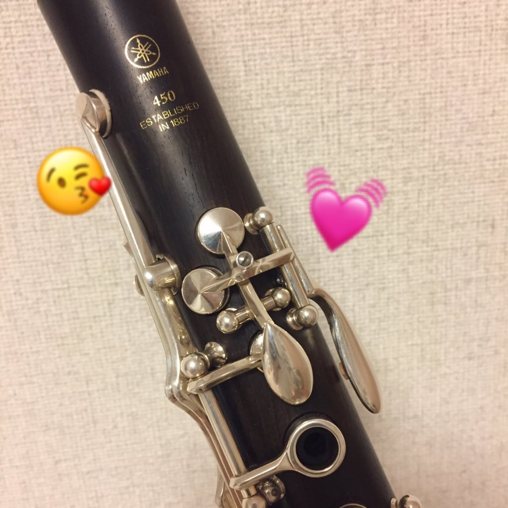 ゆ き 好きな吹奏楽曲10曲載せて1つでも被ったらrt 吹奏楽部さんと繋がりたい 春風の通り道 レ ミゼラブル セドナ マードックからの最後の手紙 宝島 星条旗よ永遠なれ ディスコキット マーチ スカイブルードリーム アフリカン