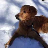 Unacceptable Esther (@backler21) 's Twitter Profile