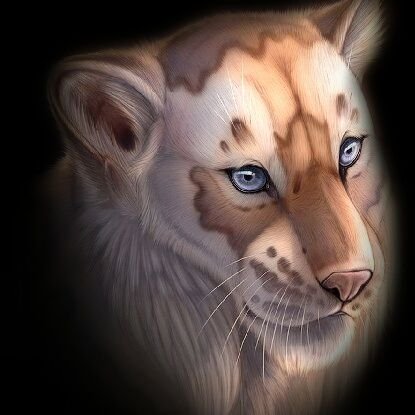 3mrweta's profile picture. ȜmƦ ₩ęťÄ