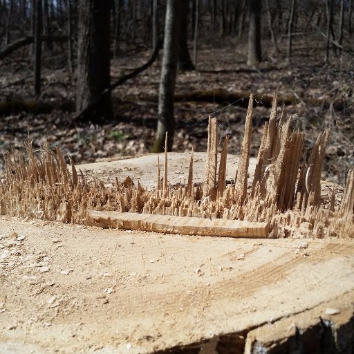 techprof's profile picture. Tweets are my own, but you can have them.