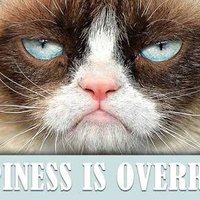 GRUMPYTATAR (@grumpytatar) 's Twitter Profile