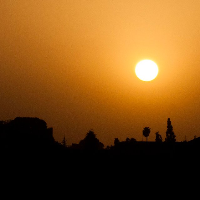 cierredecuenta's profile picture. https://t.co/TAqmbIakYO
Nos  proponemos poco, quizá nada. Queremos  caer cuando todos vuelan, ser quienes no somos, dejar de ser...