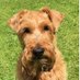 Charles Crundwell (@charlescrundwe1) Twitter profile photo Charles Crundwell (@charlescrundwe1) Twitter profile photo