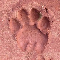 Aidan Hartley (@thehorsecure) 's Twitter Profile