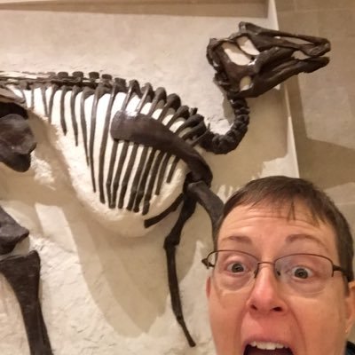 MalletSinnis's profile picture. 