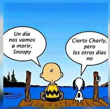 Monicacantero15's profile picture. 