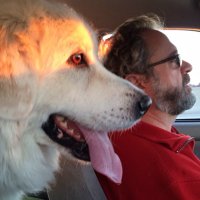 Mark Mathis (@markmathismi) 's Twitter Profile