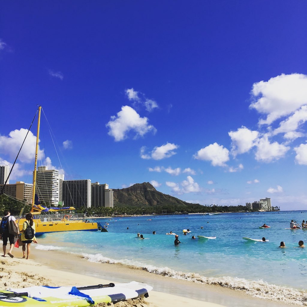 disarro02's profile picture. surfer/skater/skimboarder