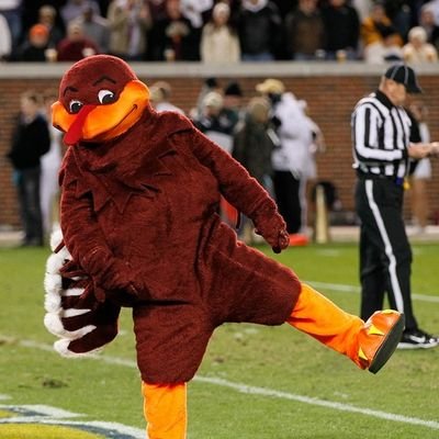 Hokiears Profile Picture